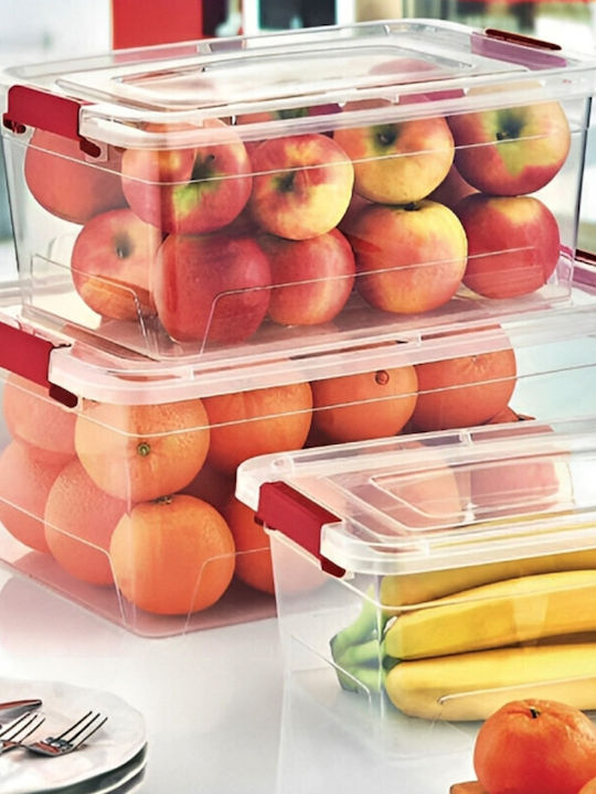 Viosarp Plastic Storage Box with Lid Transparent 22x14x10cm