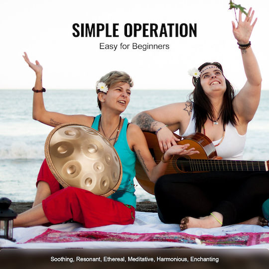 Vevor Handpan 9 Notes in D Minor Scale