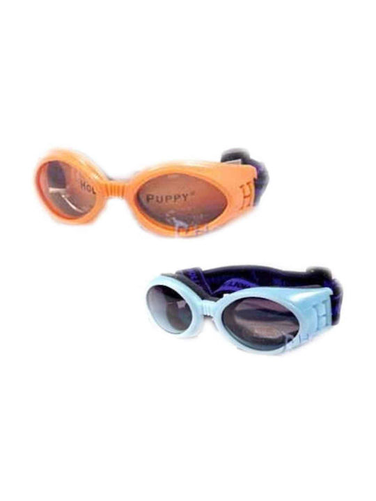 Pet Camelot Blue Sunglasses