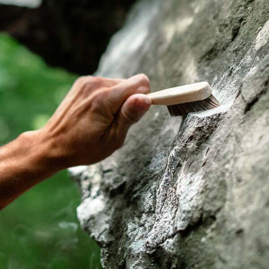 Четка за катерене Y&y Vertical L Дърво Υυ-12006_1
