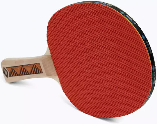 Donic Champs 200 Ρακέτα Ping Pong για Αρχάριους Παίκτες