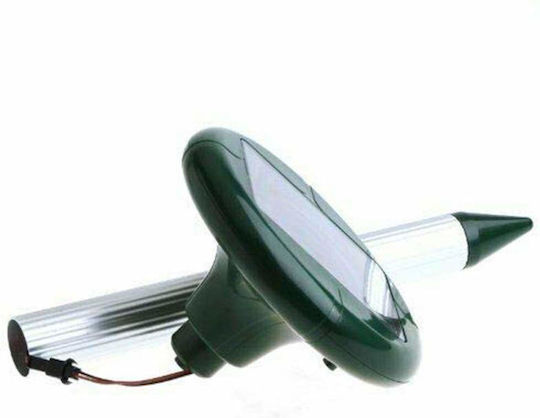 Set of 2 Solar Lights