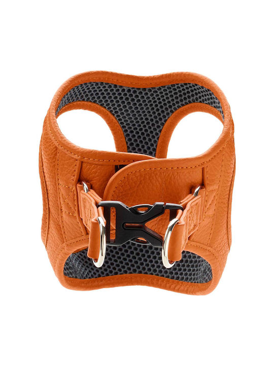 Δερμάτινο Σαμαράκι Hunter Harness Geschirr Hilo 37-40/xs-s Orange