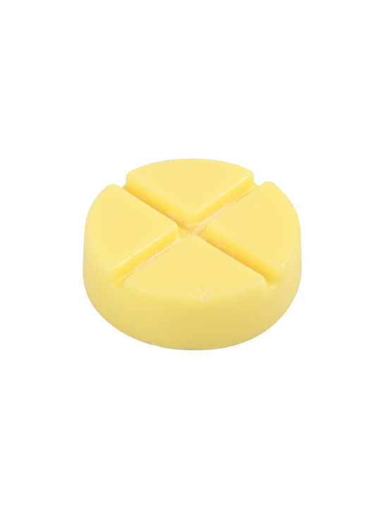Vegan Αρωματικός Δίσκος Κεριού Σόγιας Wax Melt Spell Bound