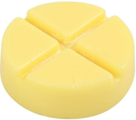 Vegan Scented Soy Wax Melt Disc Spell Bound