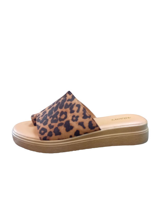 Women's Flat Sandals Flatforms Various Colors