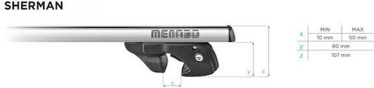 Menabo 135cm. pentru Renault Spațiu Nissan Notă 2002-2015 (cu picioare pentru portbagaj de acoperiș și blocare)