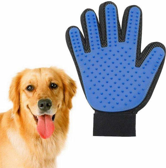 Handschuh Hunde zur Fellreinigung Blau