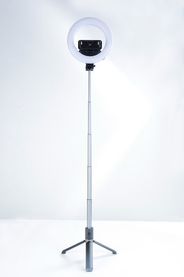 XO XO Mini USB Ventilator 1W Beige 16.008.0040