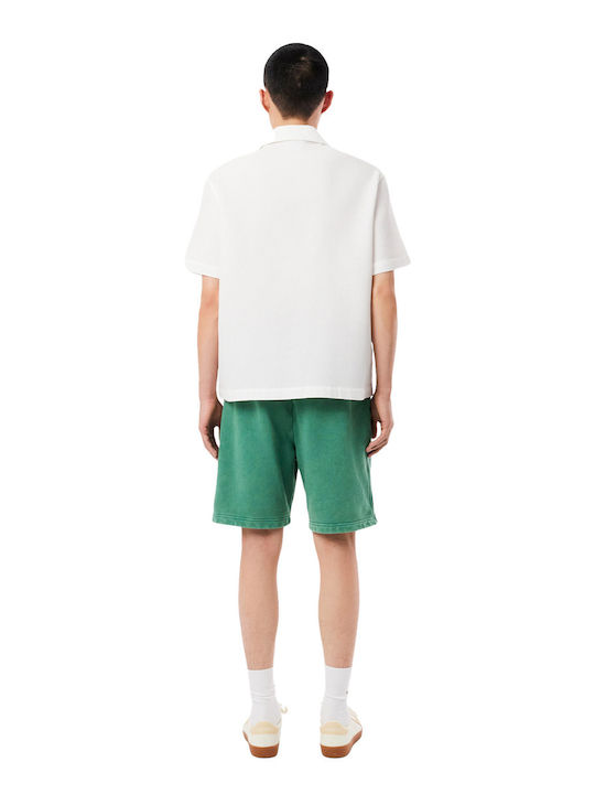 Men's Shorts Vert