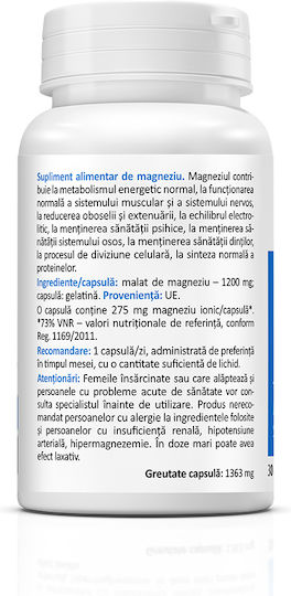 Zenyth Magnesium Malate 1200mg 30 κάψουλες Energy