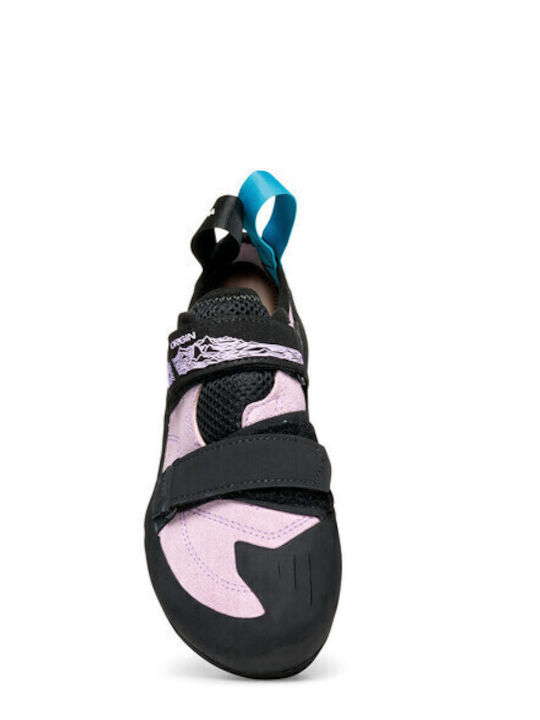 Scarpa Women's Multicolour Climbing Shoes