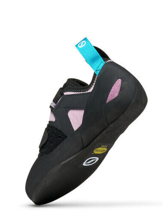 Scarpa Women's Multicolour Climbing Shoes