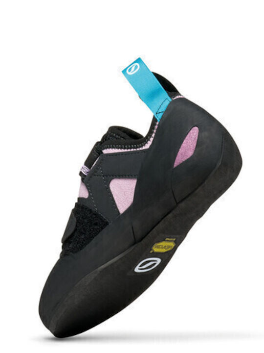 Scarpa Women's Multicolour Climbing Shoes
