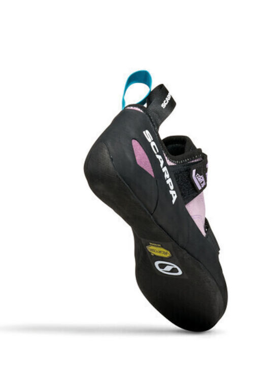Scarpa Women's Multicolour Climbing Shoes