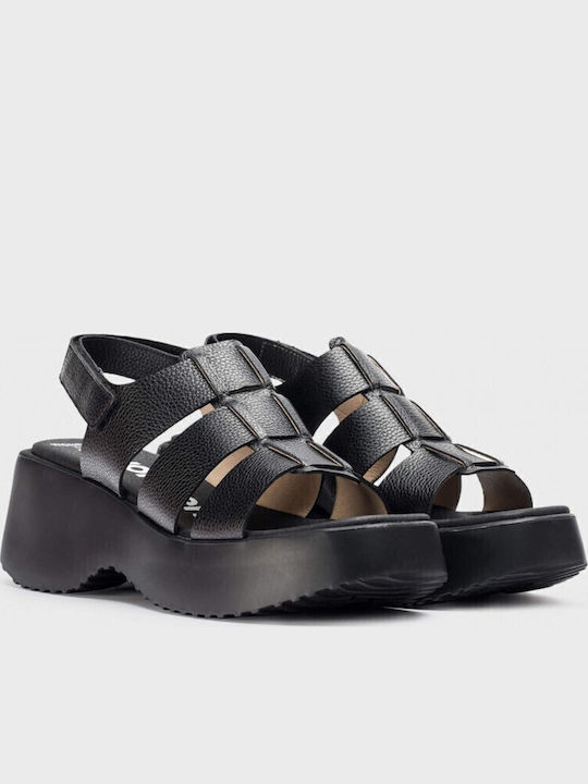 Platforme Dama Negre