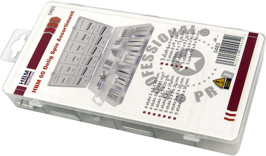 Set Keile 60 Stück