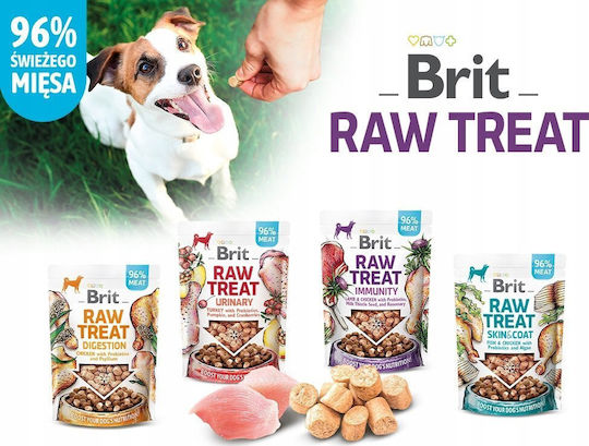 Brit Immunity for Dogs in Syrup 40gr for Immune Enhancement