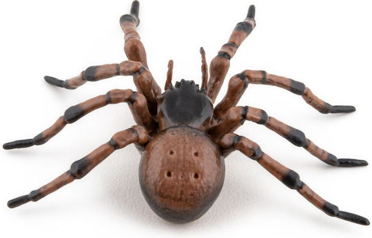 Spider Figurina Chat