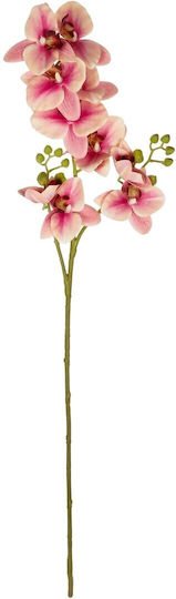Globostar Artificial Decorative Champagne Orchid Branch Y70cm Globostar Artificial Decorative Champagne Orchid Branch Y70cm