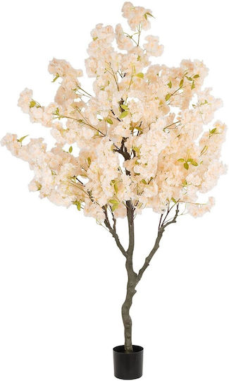 Globostar Artificial Garden Salmon Cherry Blossom Tree 20680 Decorative Artificial Tree Soft Pink Cherry Blossom H200cm Globostar Artificial Garden Salmon Cherry Blossom Tree 20680 Decorative Artificial Tree Soft Pink Cherry Blossom H200cm