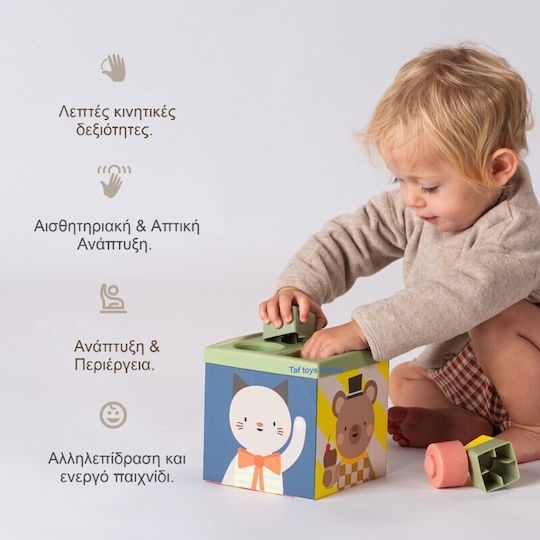 Taf Toys Activity Cube Play & Discover Cube Wooden with Sounds for 6+ Months