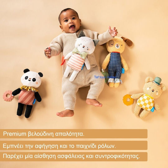 Taf Toys Ζωάκι Brendan the Bear από Ύφασμα για Νεογέννητα