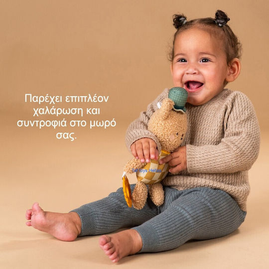 Taf Toys Ζωάκι Brendan the Bear από Ύφασμα για Νεογέννητα