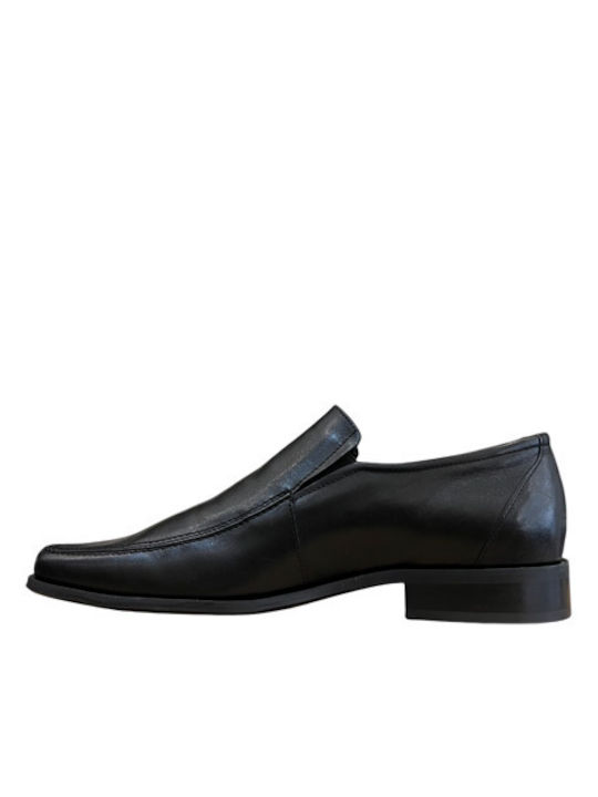 Damiani