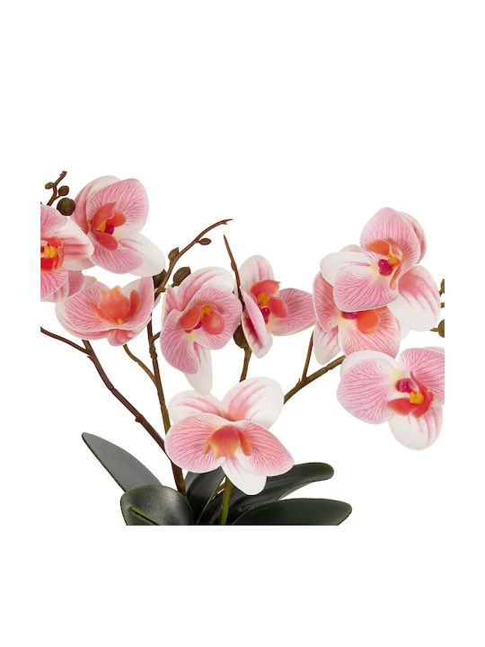 Globostar Artificial Garden Pink Orchid 21075 Διακοσμητικό Φυτό Ροζ Ορχιδέα Υ30cm