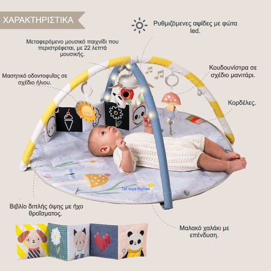 Taf Toys Activity Gym with Music for Newborns