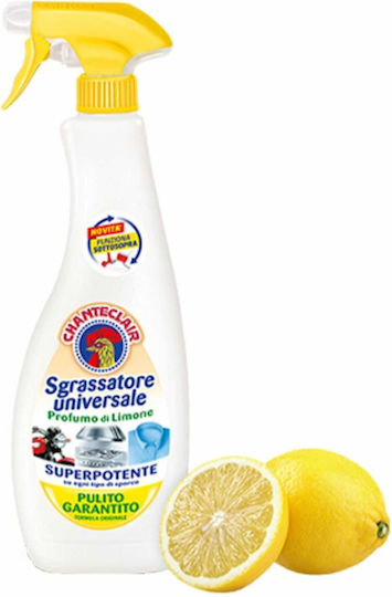 Chante Clair Καθαριστικό Spray για Ανοξείδωτες Επιφάνειες 600ml