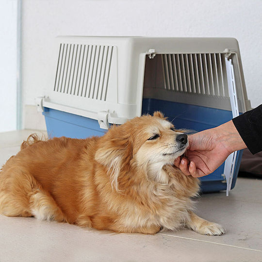 Ferplast Atlas 30 Ersatzteil für Hunde Transportkäfig Hellblau 60x40x38cm