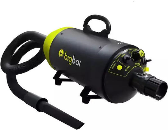 Bigboi Blowr Mini Vac Ρυθμιστής