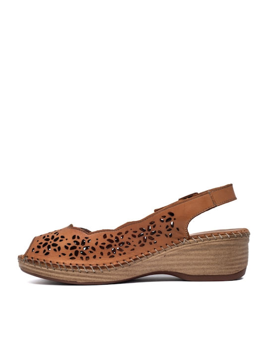Anatomic Women's Leather Platform Shoes Brown