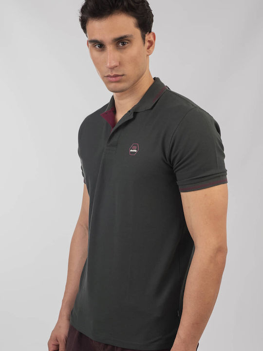 Polo T-shirt Κυπαρισσί