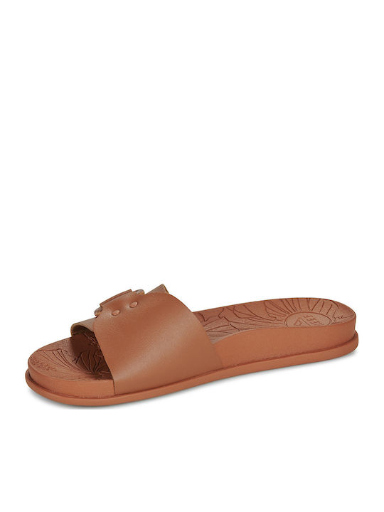 Cushion Women's Flat Sandals in Brown Color