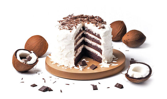 Nocarb Chocolate Coconut Sponge Cake Fiber Mix 85g
