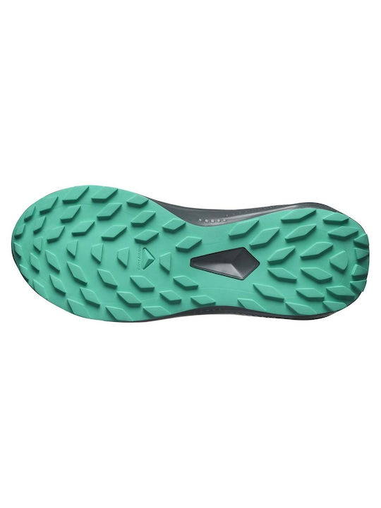 Salomon Alphaglide Γυναικεία Trail Gore-Tex Γκρι