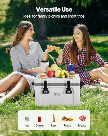 Vevor Gray Portable Fridge 0.33lt TSLZX26QTB004CWLV001V0