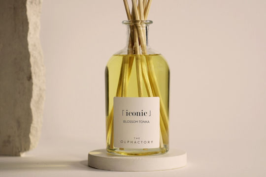 Raumduftstäbchen 250ml Blossom Tonka Ikonischer Diffuser Olphactory