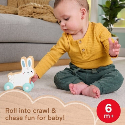Fisher Price Jucărie de Tras Iepuraș din Lemn pentru 6++ Luni