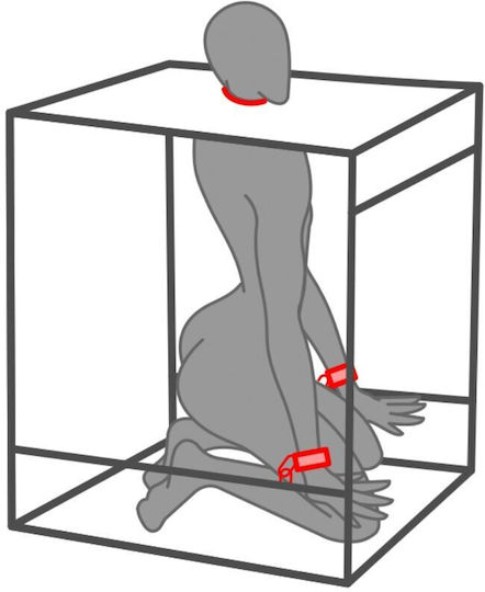 Kink BDSM Kit σε Μαύρο Χρώμα