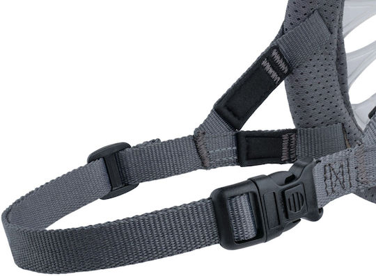 Ρύγχος Company Animals Διαφανές 6 S6105005