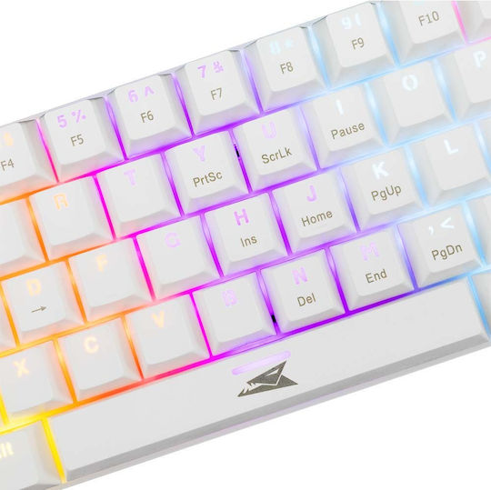 Baracuda Dolphin Gaming Mechanical Keyboard 60% with Custom Red switches and RGB lighting (English US) White