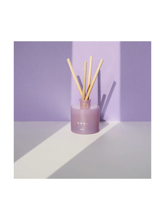 wxy. Diffuser με Άρωμα Γιασεμί WXYCLD0809 100ml