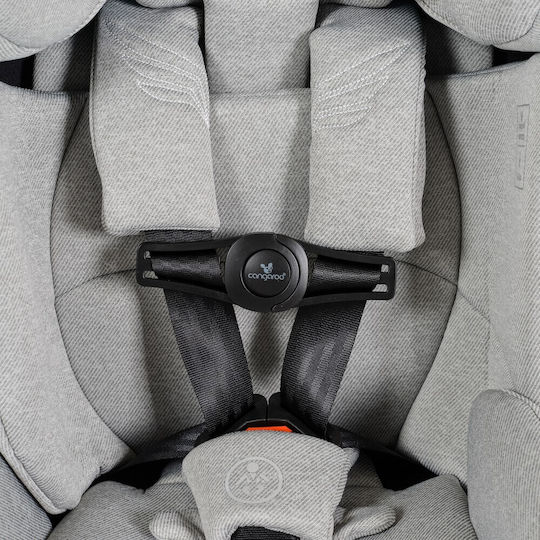 Cangaroo Seat Belt Safety Black