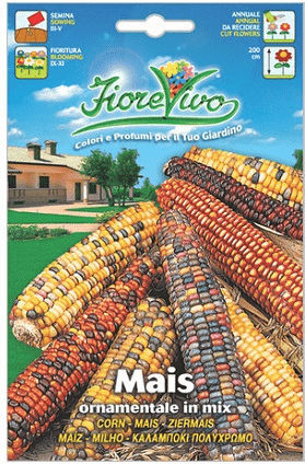 Gemma Seeds Corn Ornamental 4gr