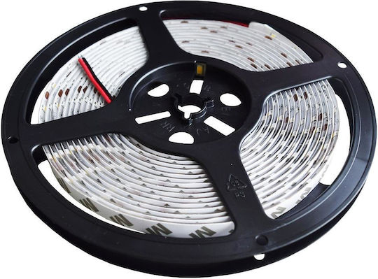 Rebel Waterproof LED Strip 12V Warm White Light 5m Type SMD5630