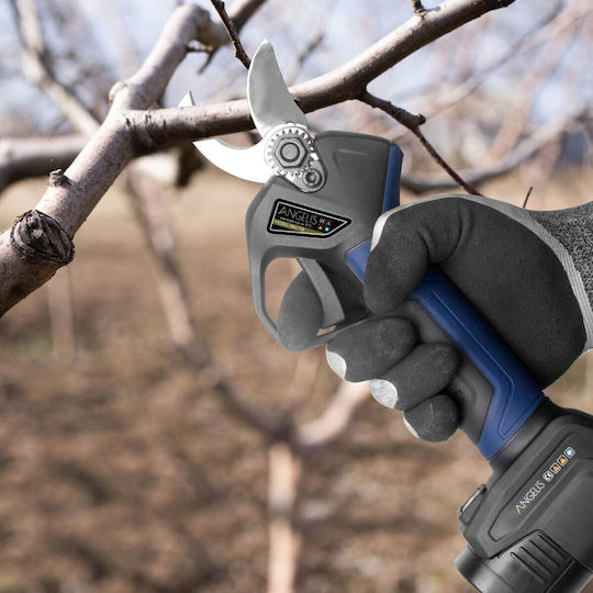 Agelis Pruning Shears Battery Brushless 16.8V 2x2Ah with Maximum Cutting Diameter 28mm in Carrying Case